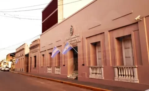 Fallo alimentos