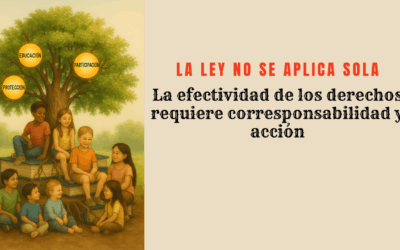 La ley no se aplica sola: la efectividad de los derechos exige corresponsabilidad y acción