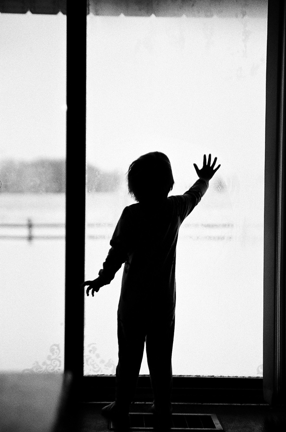 Contenido del artículo