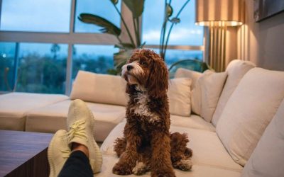 Nuevas formas, nuevas preguntas para la justicia