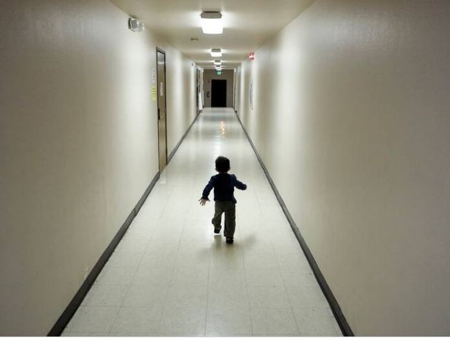 Contenido del artículo