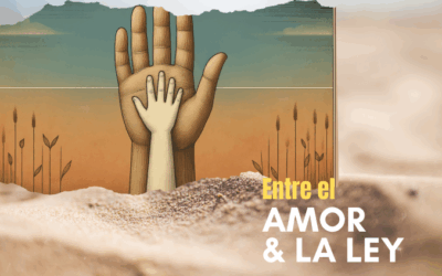 Entre el amor y la ley, el límite es siempre el niño